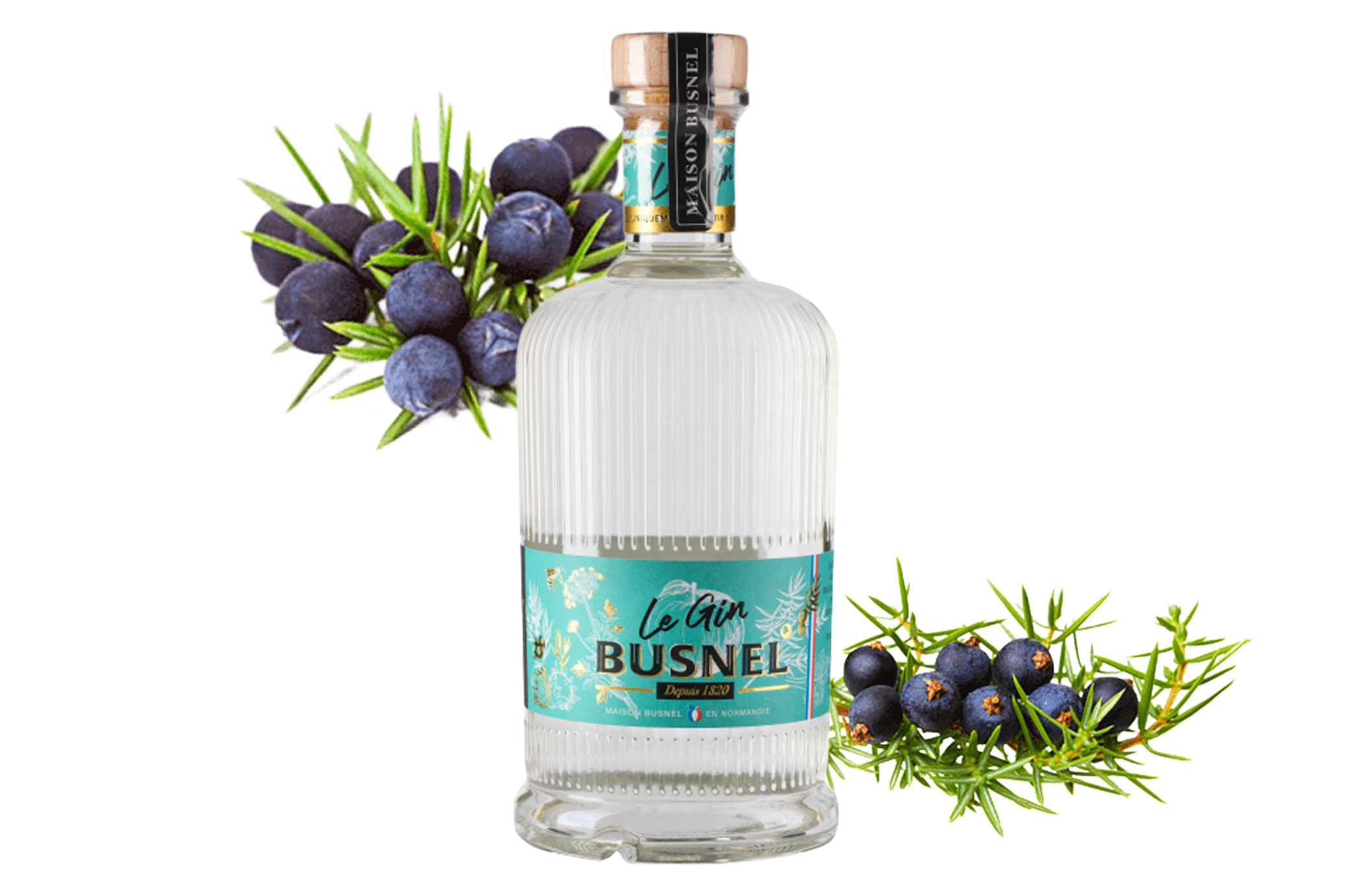 Gin