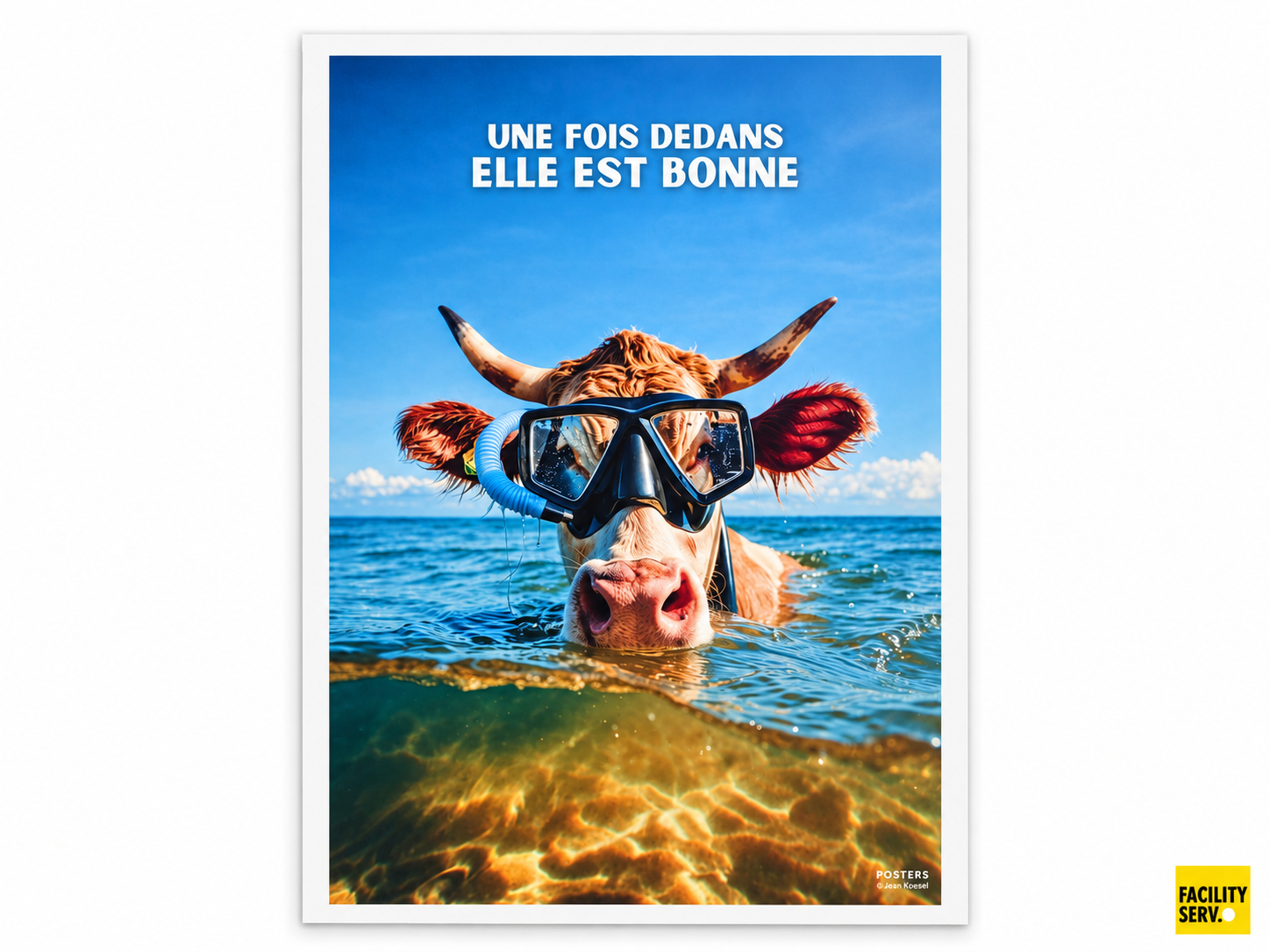 Affiche A4 — Humour normand « Une fois dedans, elle est bonne »
