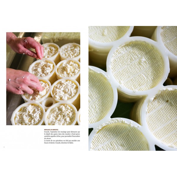 CUISINE - Le Livarot - Arôme et tradition