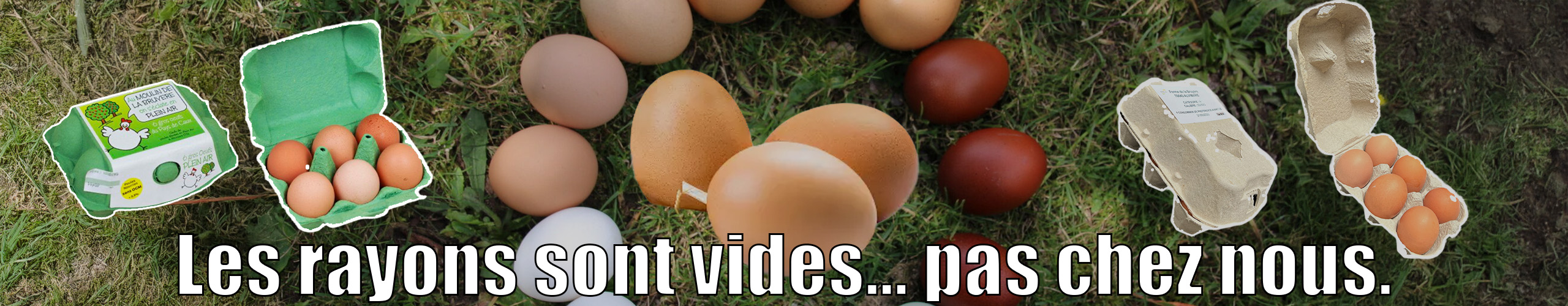 Bannière Oeufs